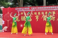 甲辰年大埔萬家慶新春龍騰富亨賀新歲 (3) (相簿)