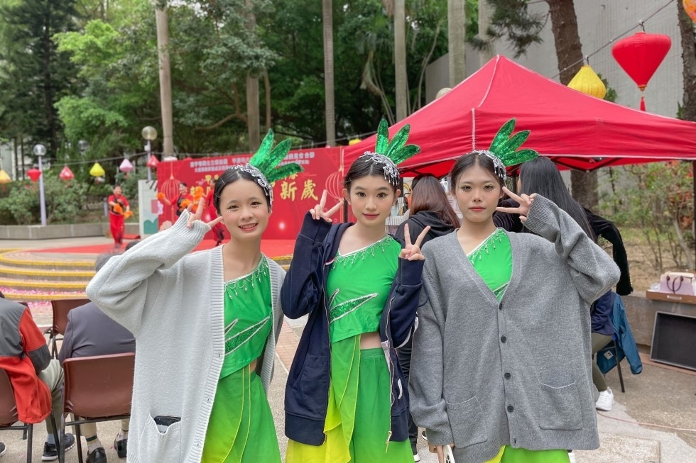 甲辰年大埔萬家慶新春龍騰富亨賀新歲 (2) (相簿)