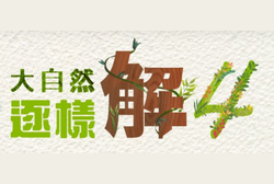 Youtube 縮圖 (6)