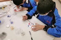 IMG_20230927_151649 (相簿)
