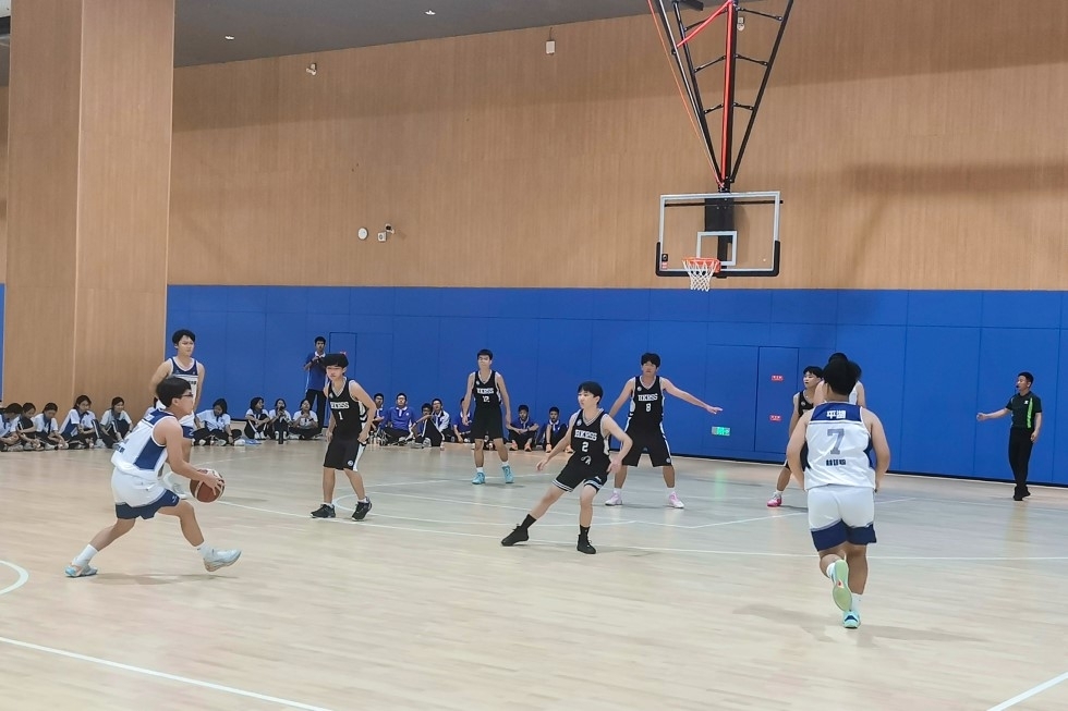 IMG_20231122_165652 (相簿)